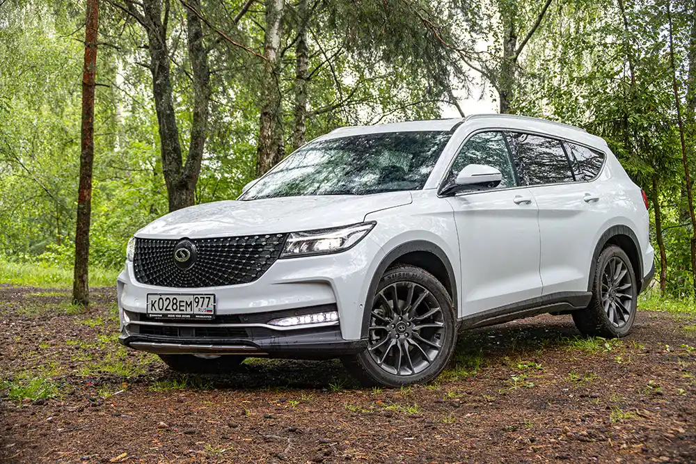 Jung- und Jahreswagen